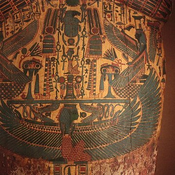 Museum dHistoire naturelle de Perpignan