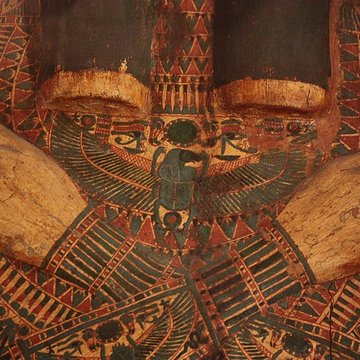 Museum dHistoire naturelle de Perpignan