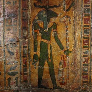 Museum dHistoire naturelle de Perpignan