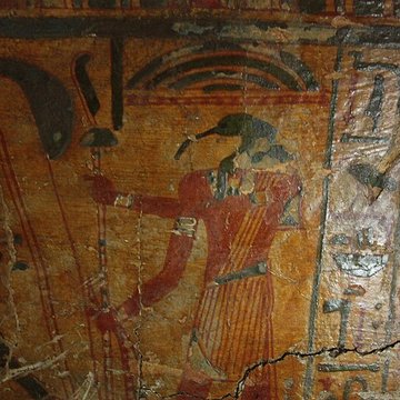 Museum dHistoire naturelle de Perpignan