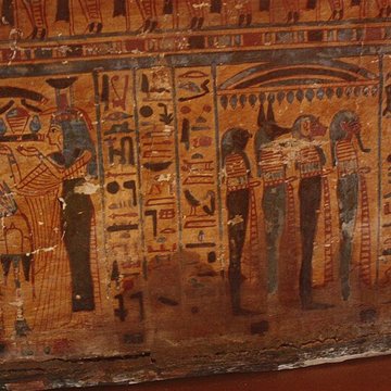 Museum dHistoire naturelle de Perpignan