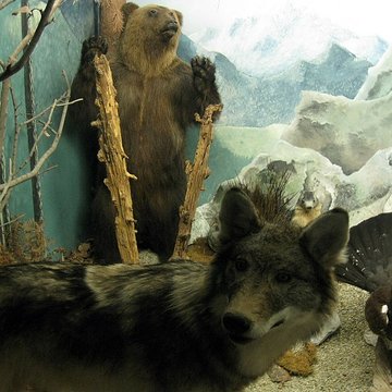 Museum dHistoire naturelle de Perpignan