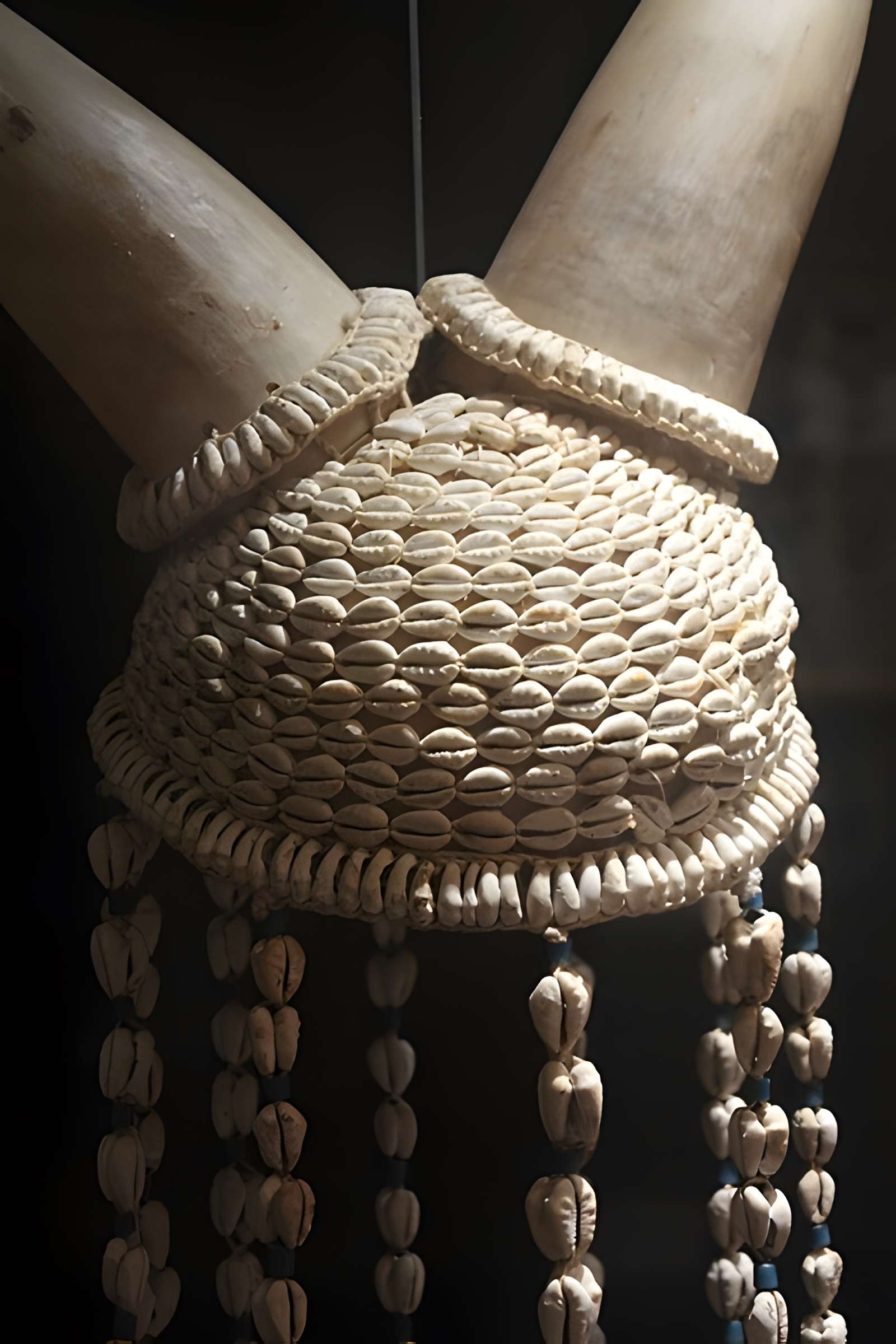 Museum d'Histoire naturelle de Perpignan