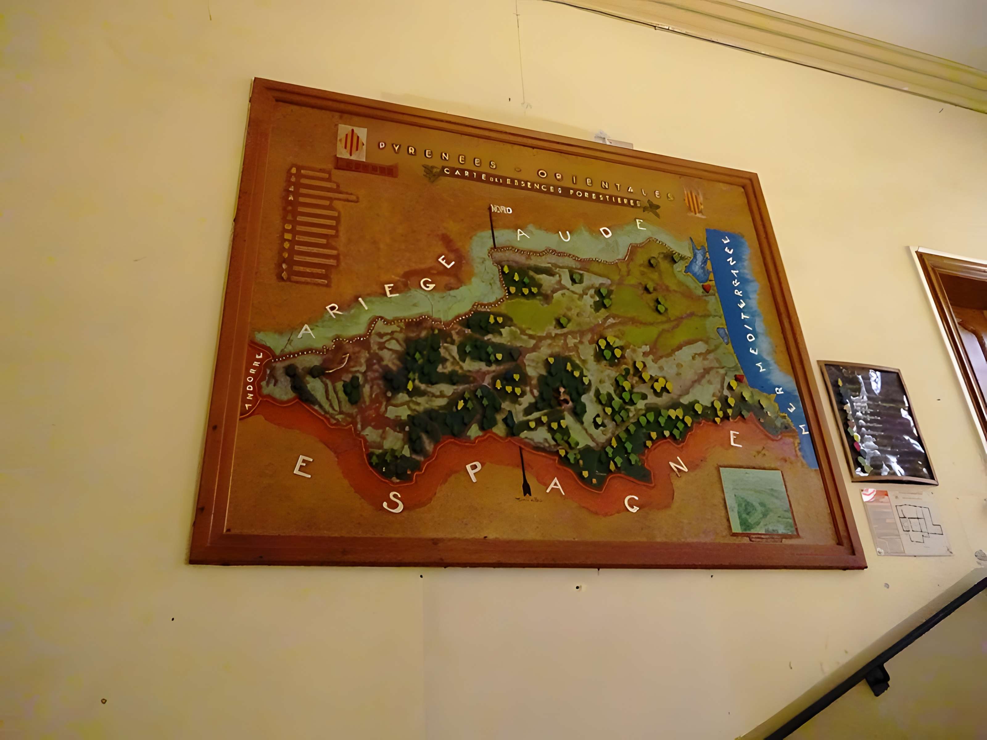 Museum d'Histoire naturelle de Perpignan