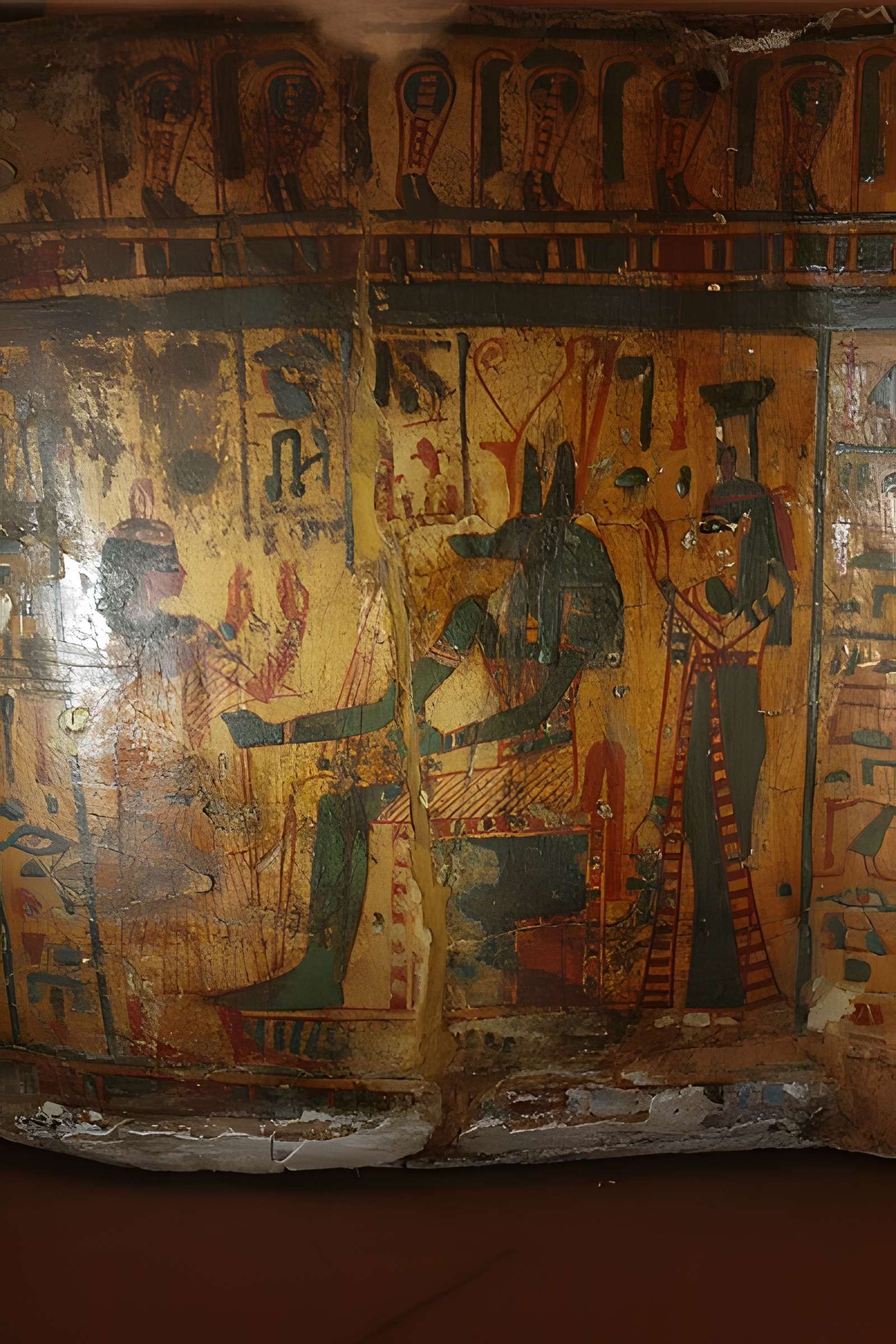 Museum d'Histoire naturelle de Perpignan