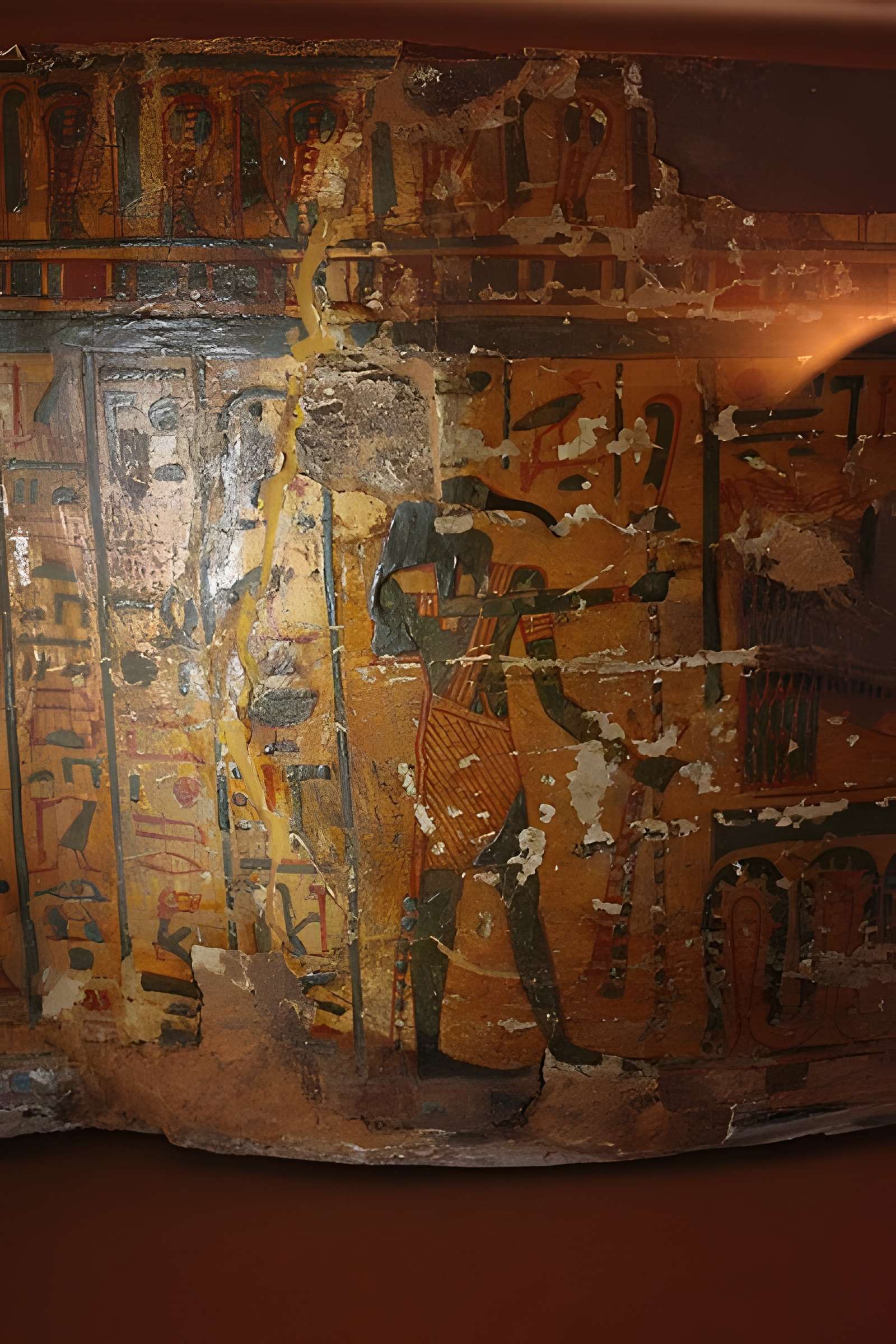 Museum d'Histoire naturelle de Perpignan