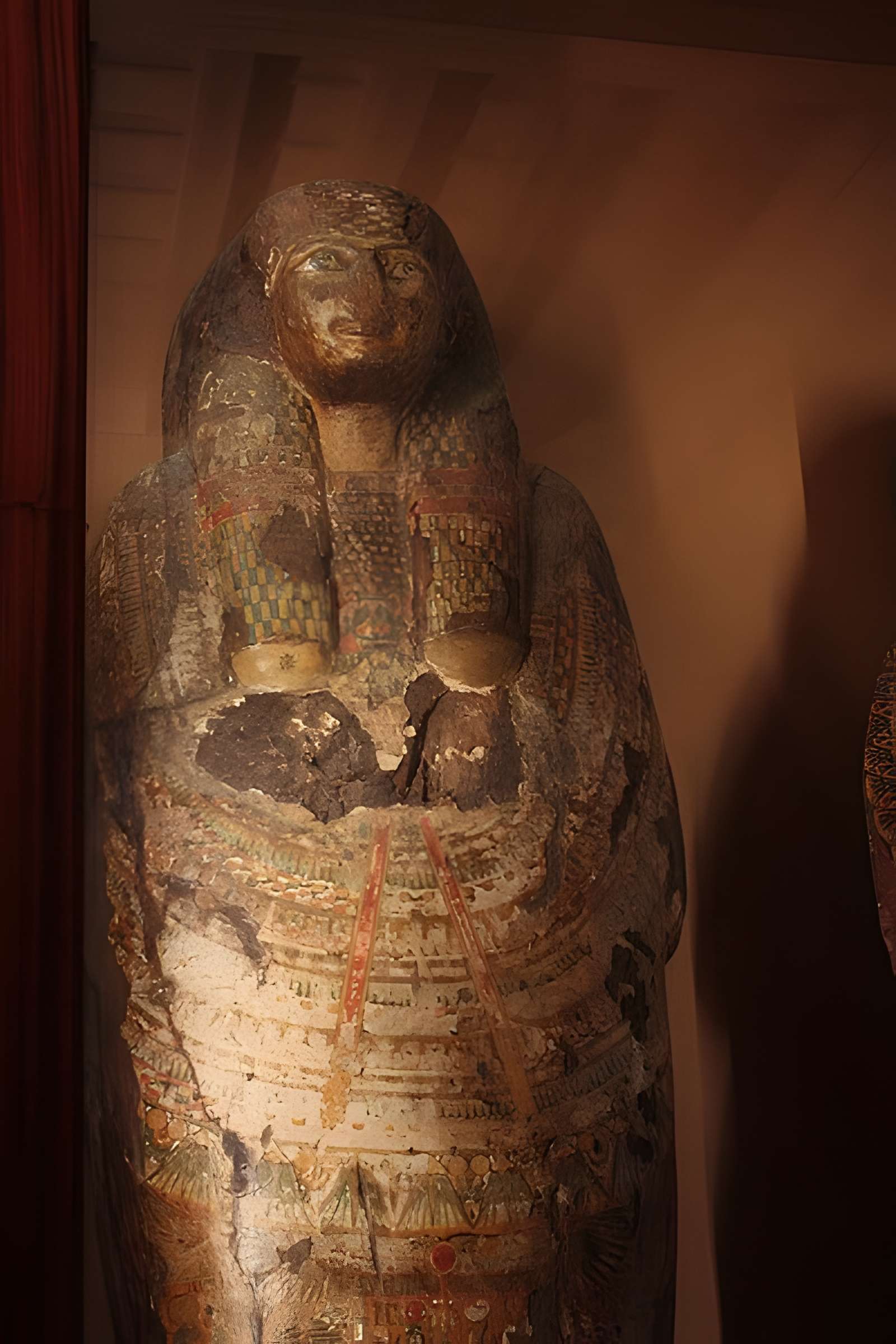 Museum d'Histoire naturelle de Perpignan