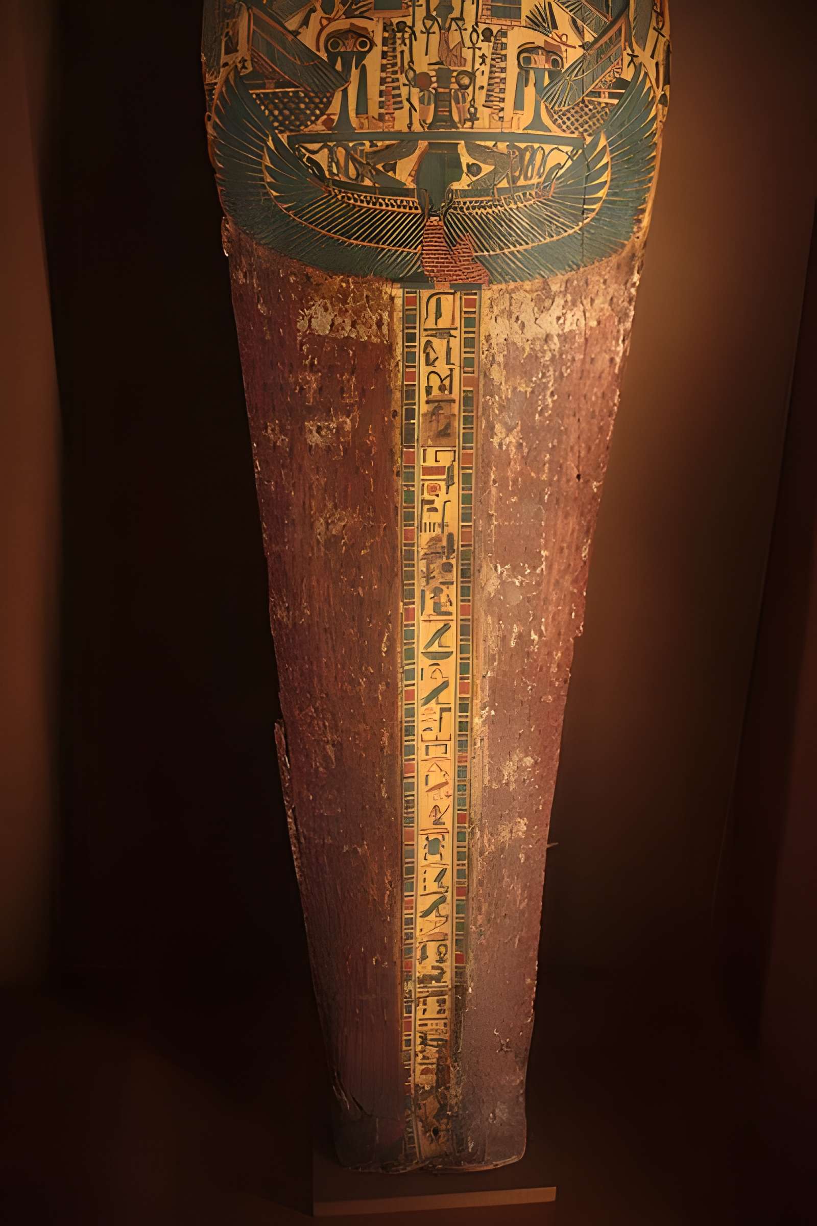 Museum d'Histoire naturelle de Perpignan