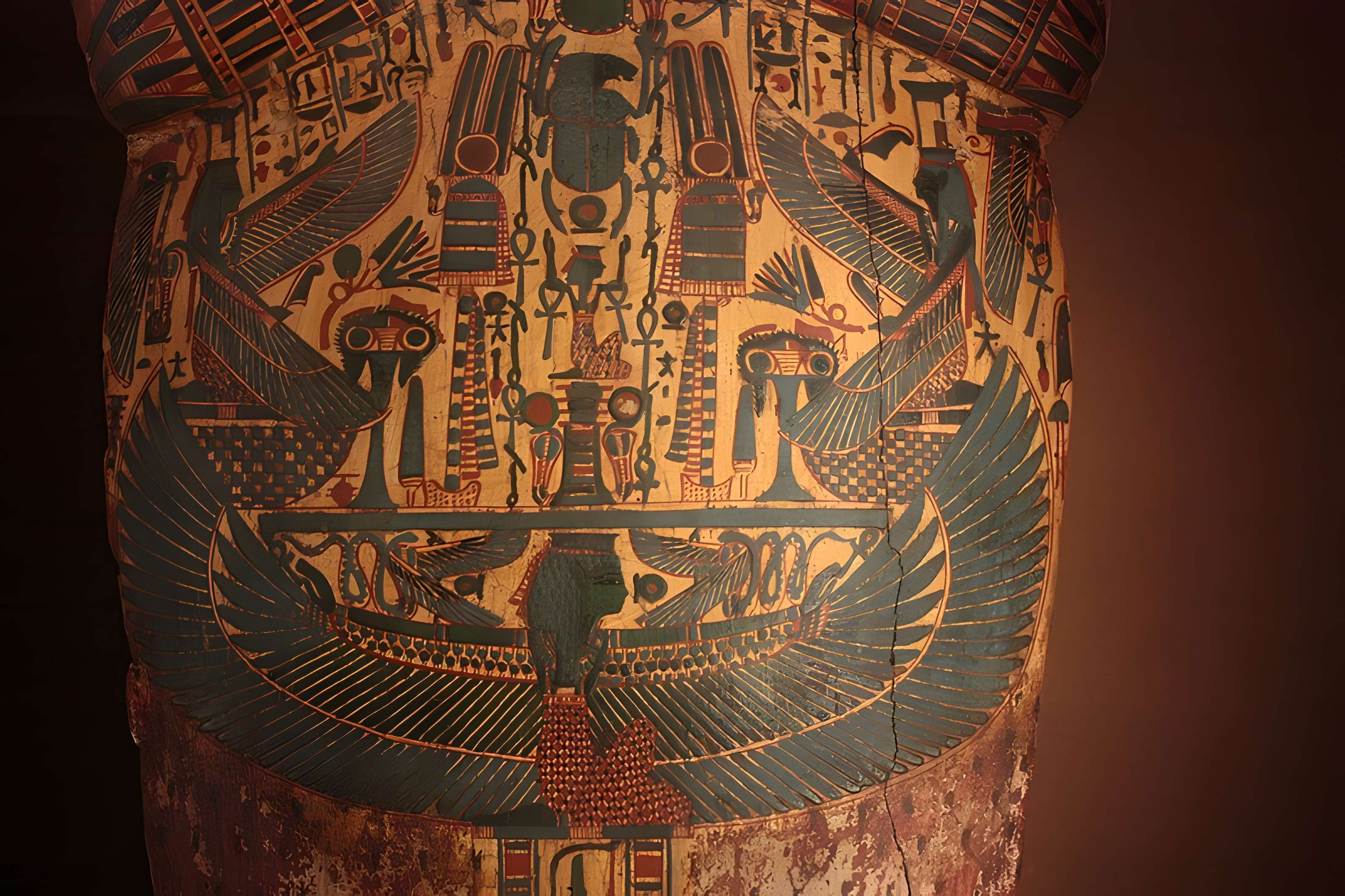 Museum d'Histoire naturelle de Perpignan