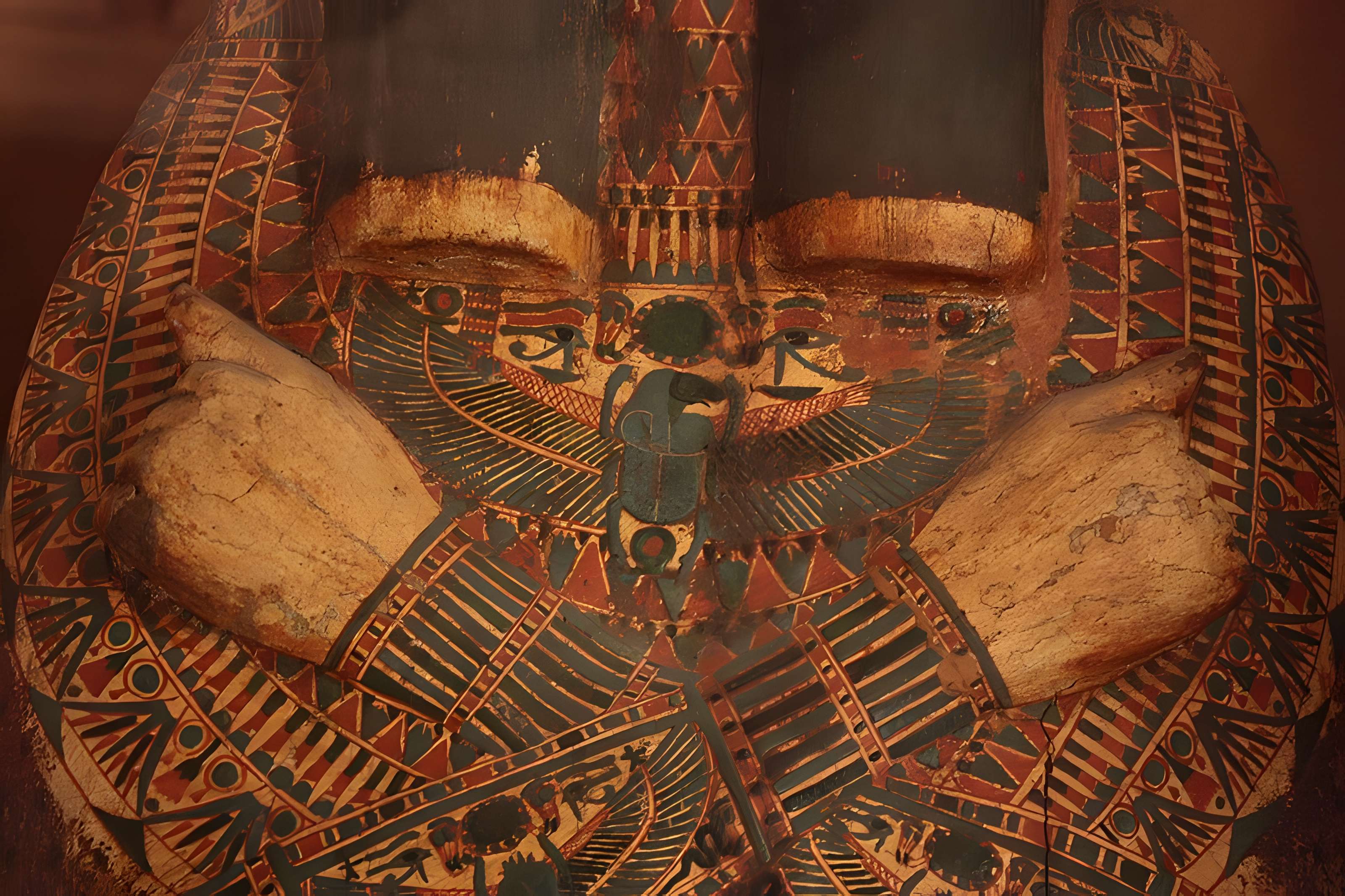 Museum d'Histoire naturelle de Perpignan