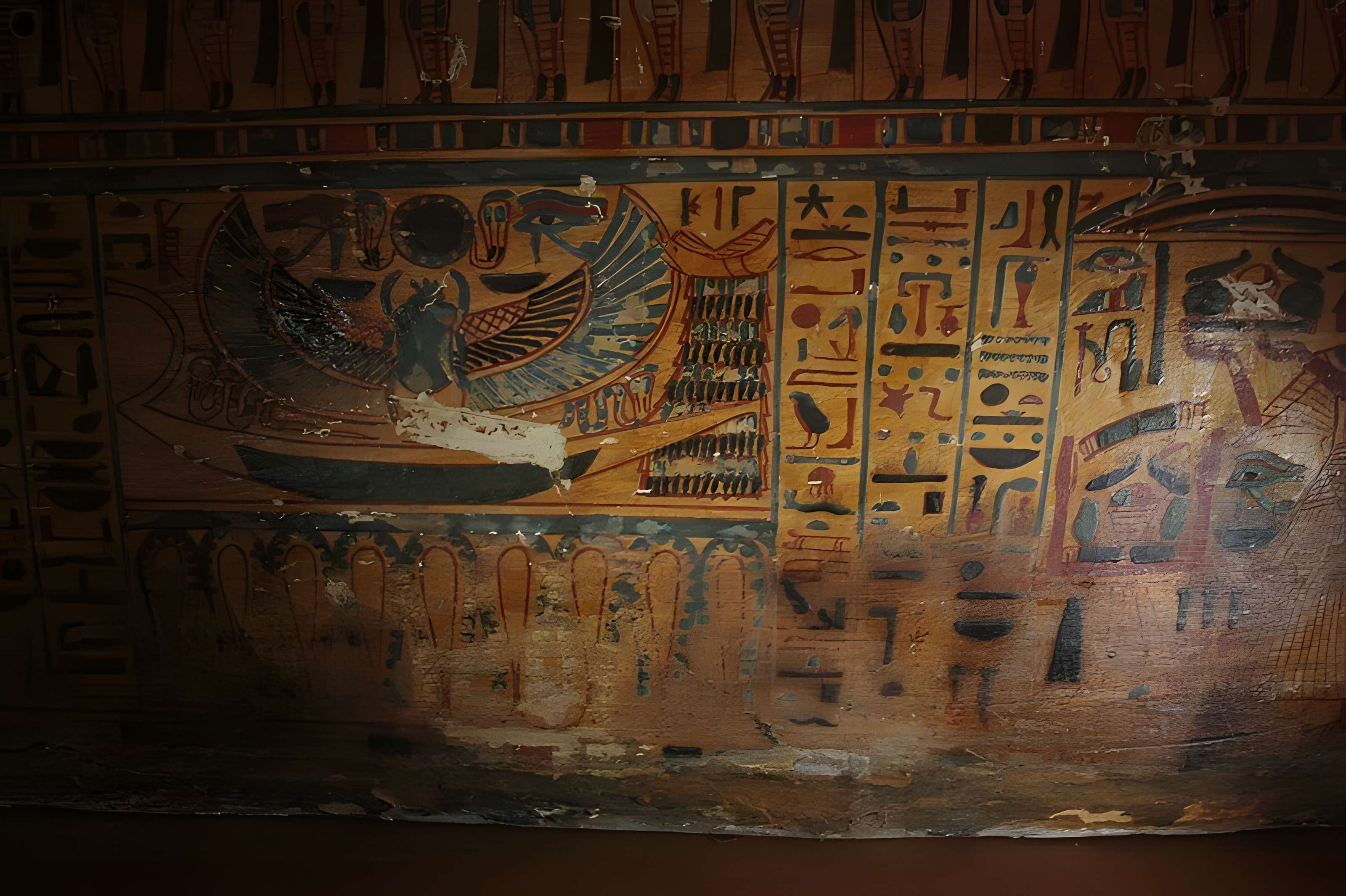 Museum d'Histoire naturelle de Perpignan