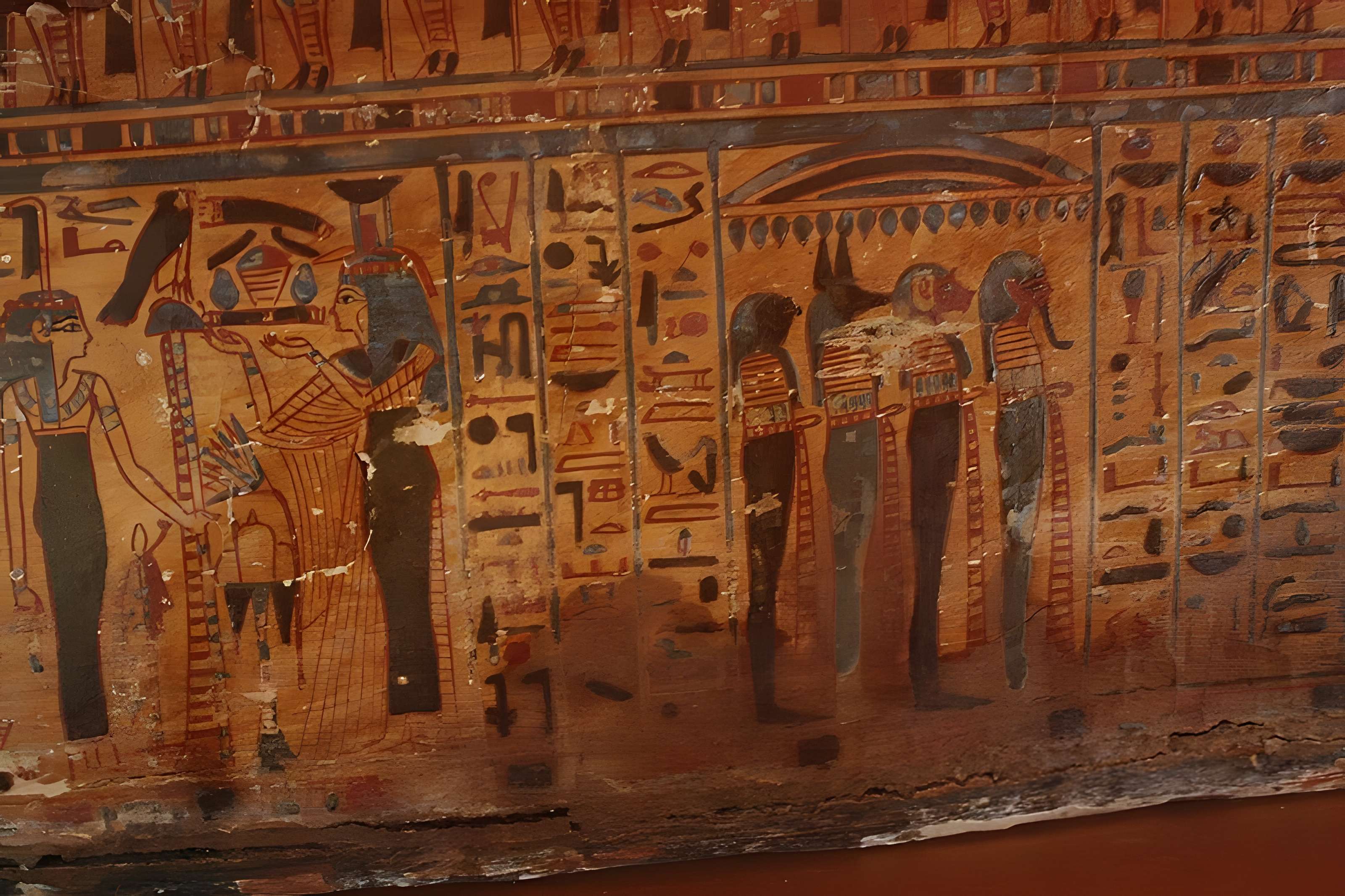 Museum d'Histoire naturelle de Perpignan