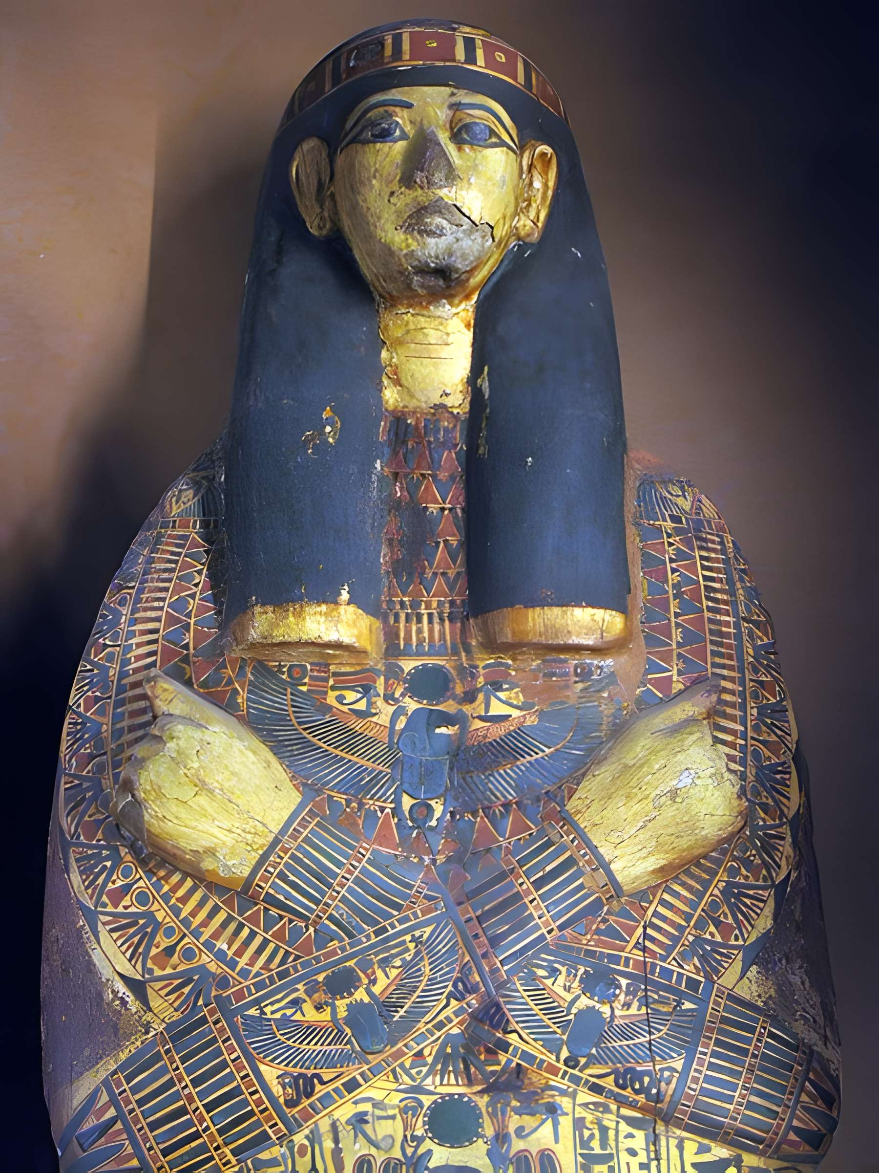 Museum d'Histoire naturelle de Perpignan