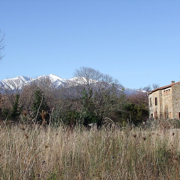 Photo de Musée dart moderne de Céret