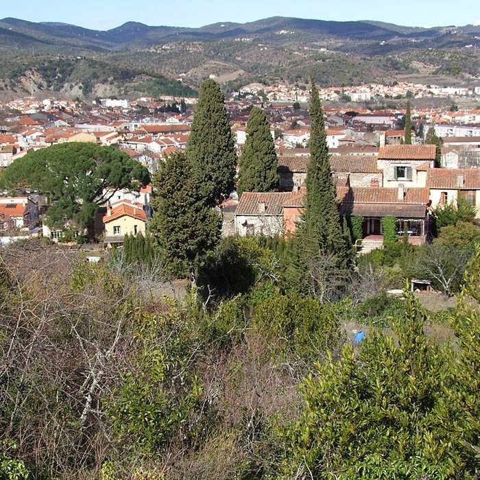 Photo de Musée dart moderne de Céret