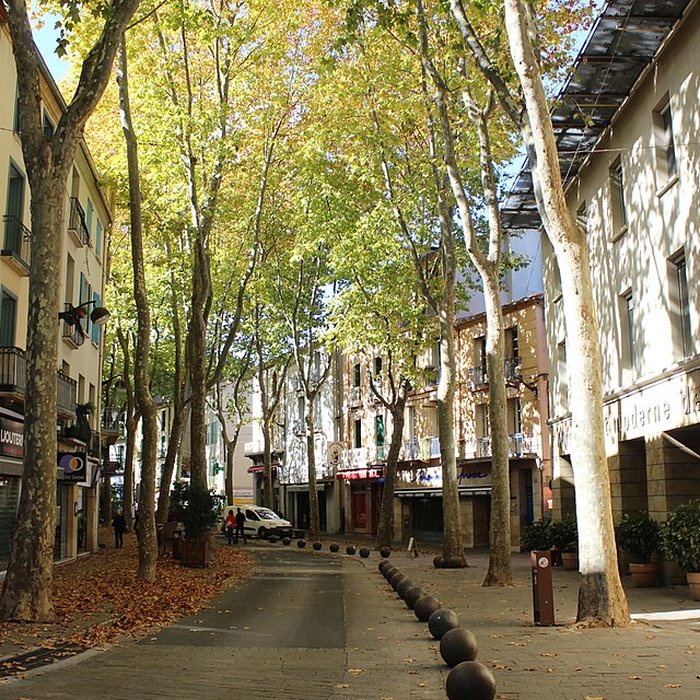 Photo de Musée dart moderne de Céret