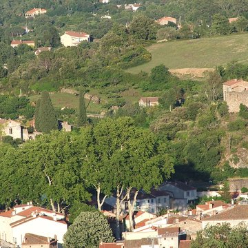 Musée dart moderne de Céret