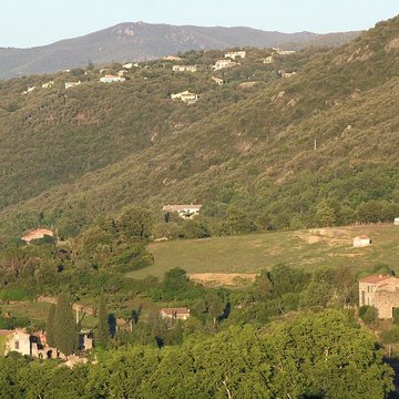 Musée dart moderne de Céret