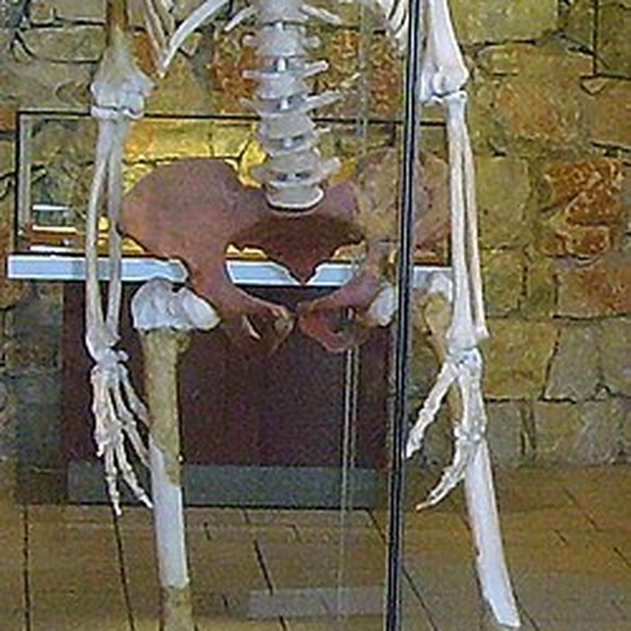 Photo de Musée de Tautavel : Centre européen de la Préhistoire