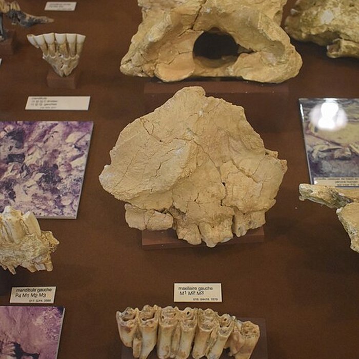 Photo de Musée de Tautavel : Centre européen de la Préhistoire