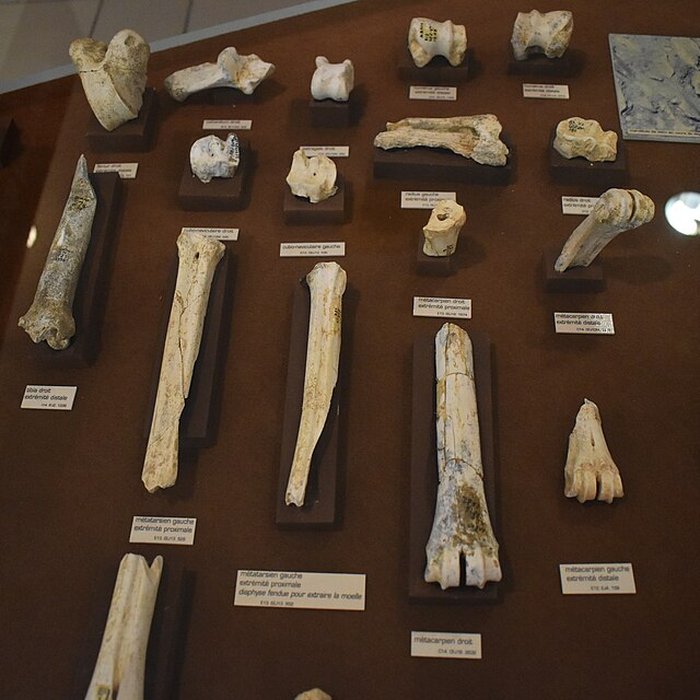 Photo de Musée de Tautavel : Centre européen de la Préhistoire