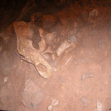 Musée de Tautavel : Centre européen de la Préhistoire