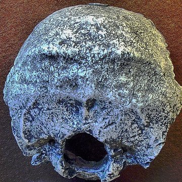 Musée de Tautavel : Centre européen de la Préhistoire