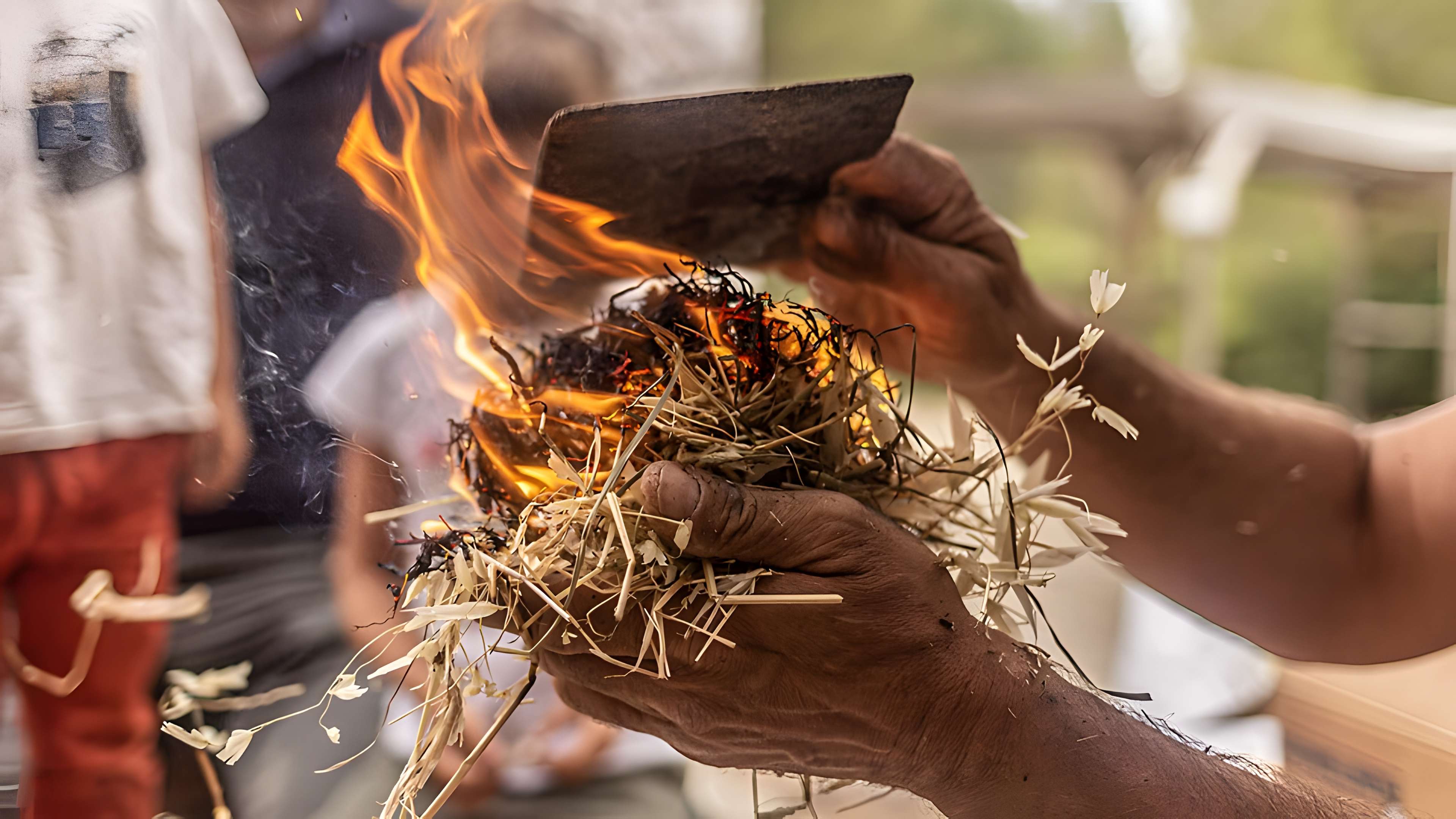 Musée de Tautavel : Centre européen de la Préhistoire