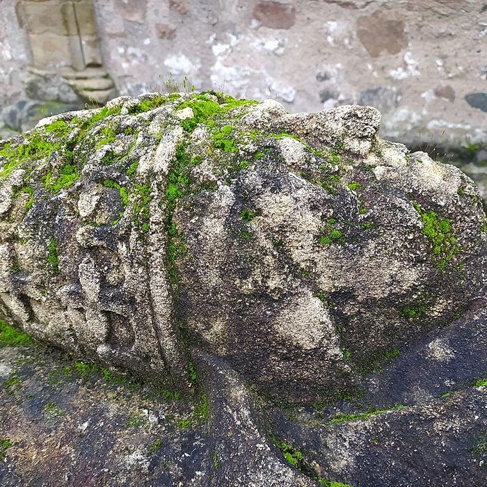 Photo de Musée du Cloître de Tulle