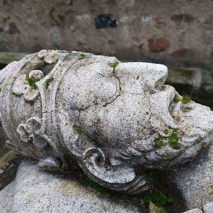 Photo de Musée du Cloître de Tulle