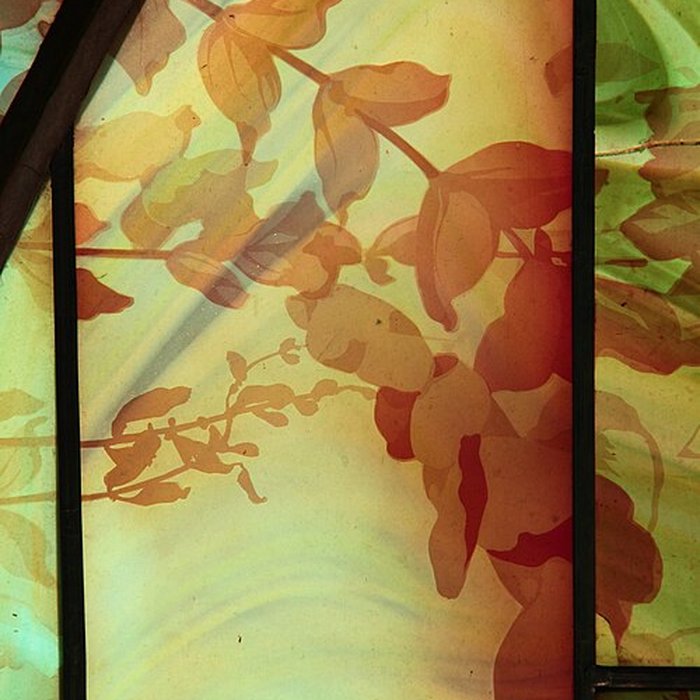 Photo de Musée de lÉcole de Nancy