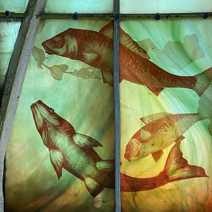 Photo de Musée de lÉcole de Nancy