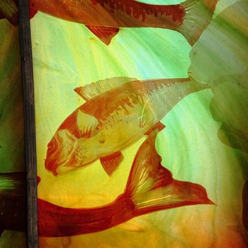 Musée de lÉcole de Nancy