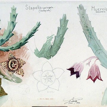 Musée de lÉcole de Nancy