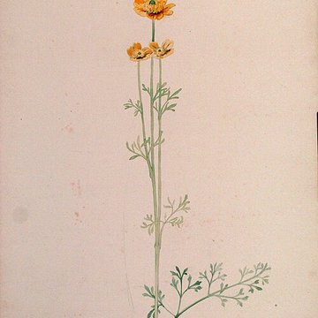 Musée de lÉcole de Nancy