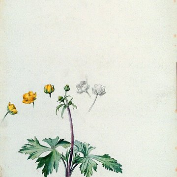 Musée de lÉcole de Nancy