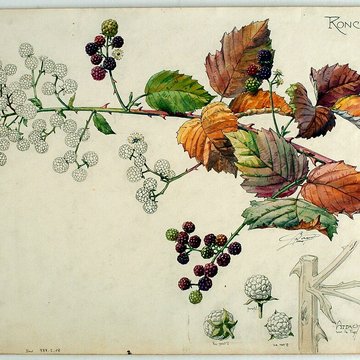 Musée de lÉcole de Nancy