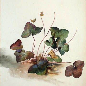 Musée de lÉcole de Nancy