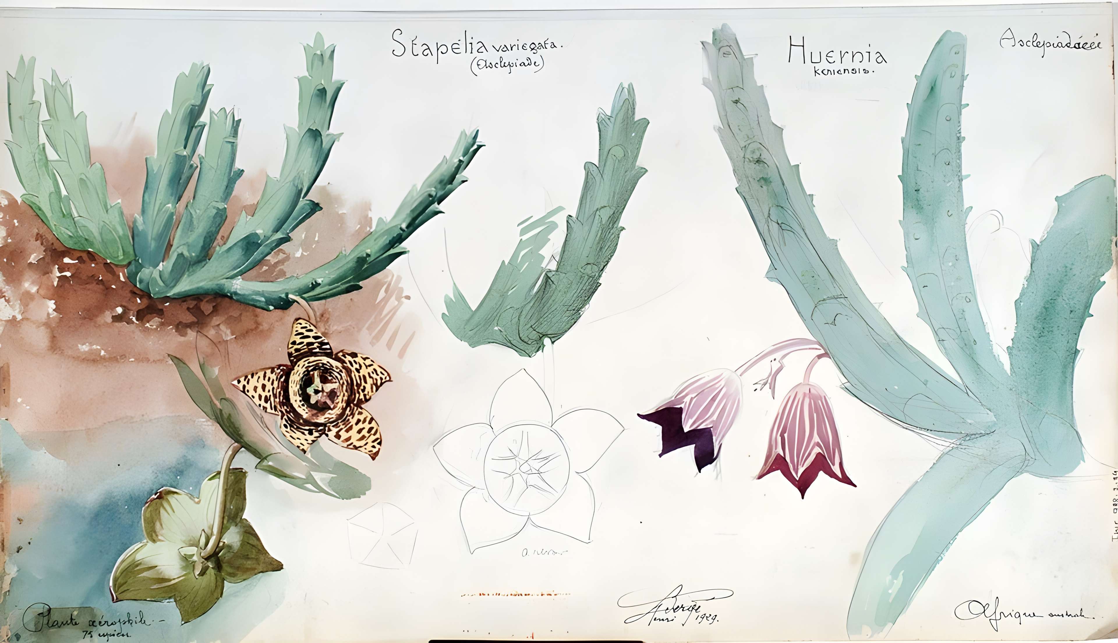 Musée de l'École de Nancy