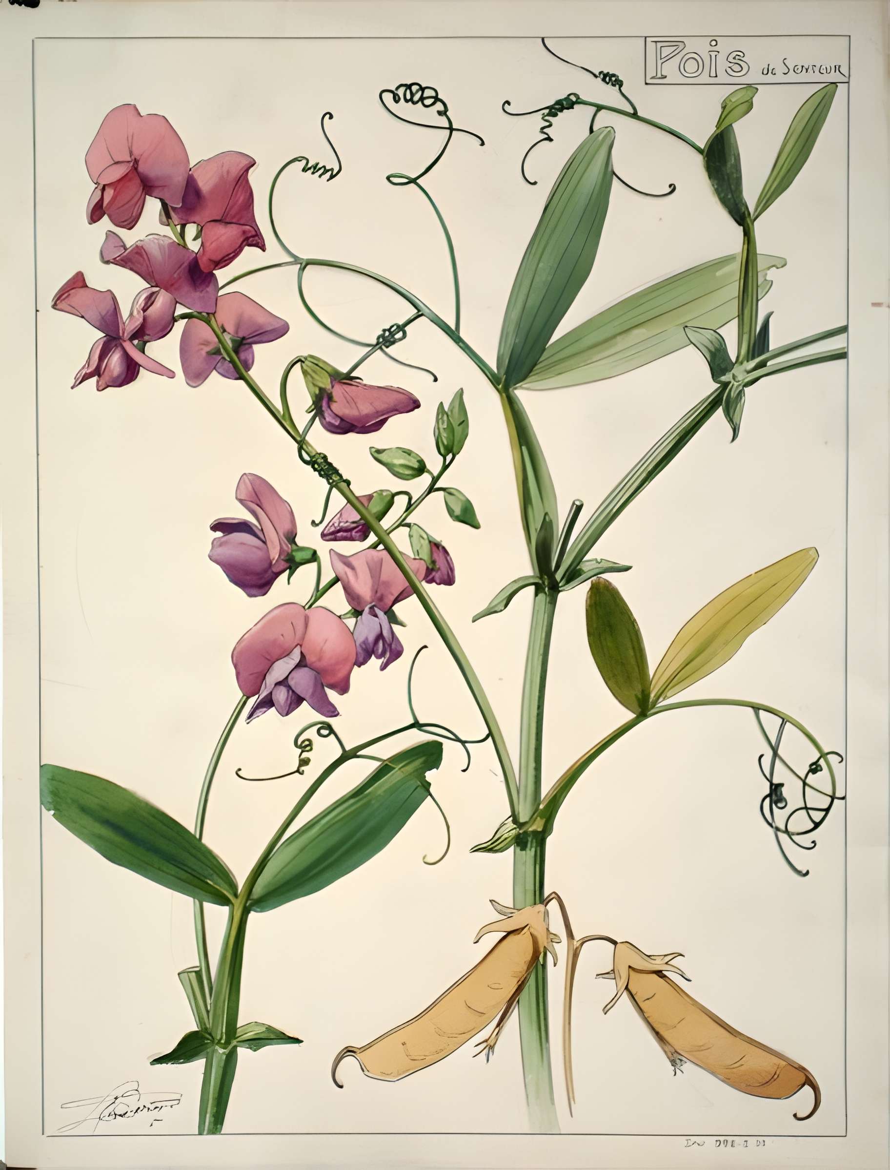 Musée de l'École de Nancy