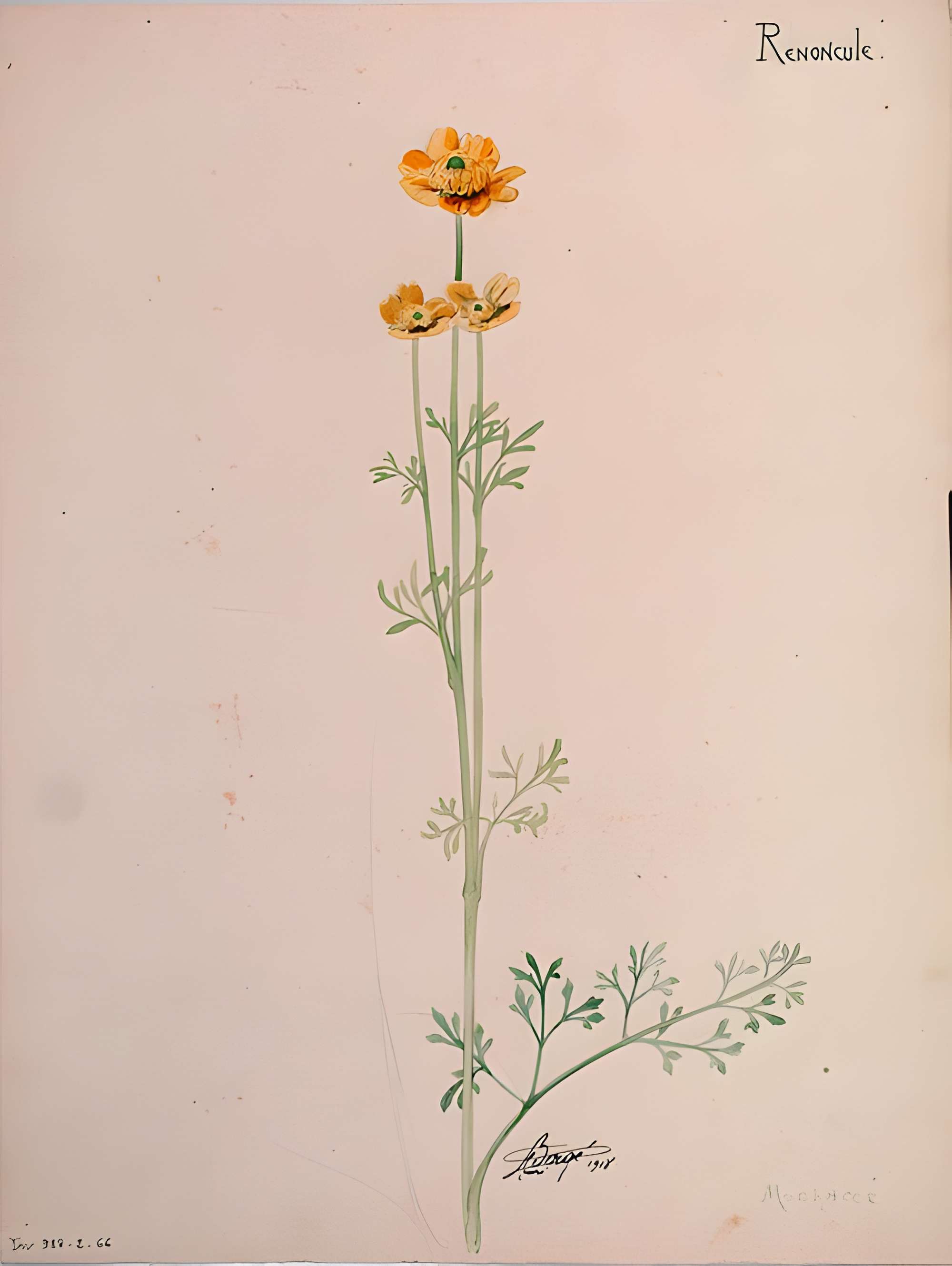 Musée de l'École de Nancy