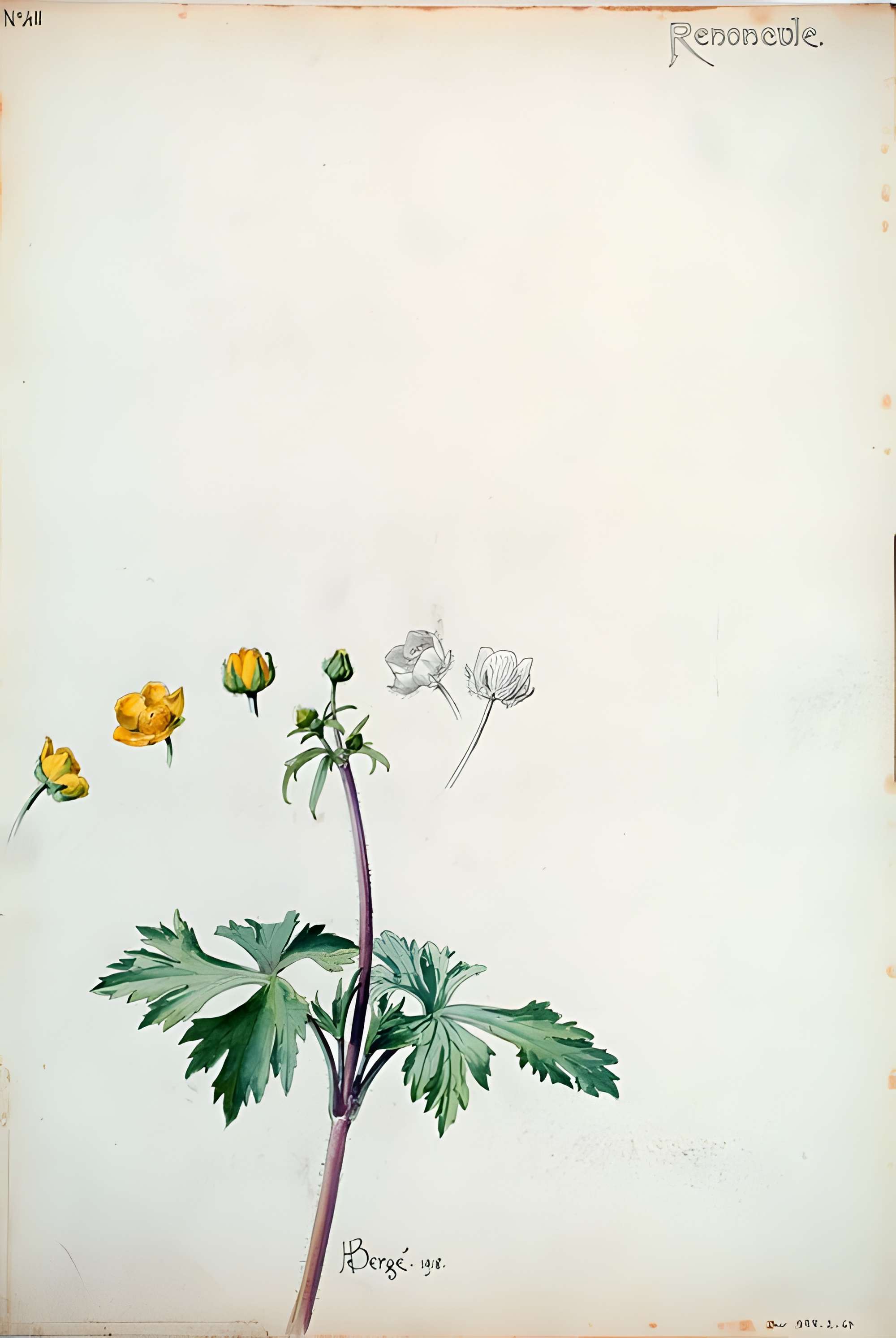 Musée de l'École de Nancy