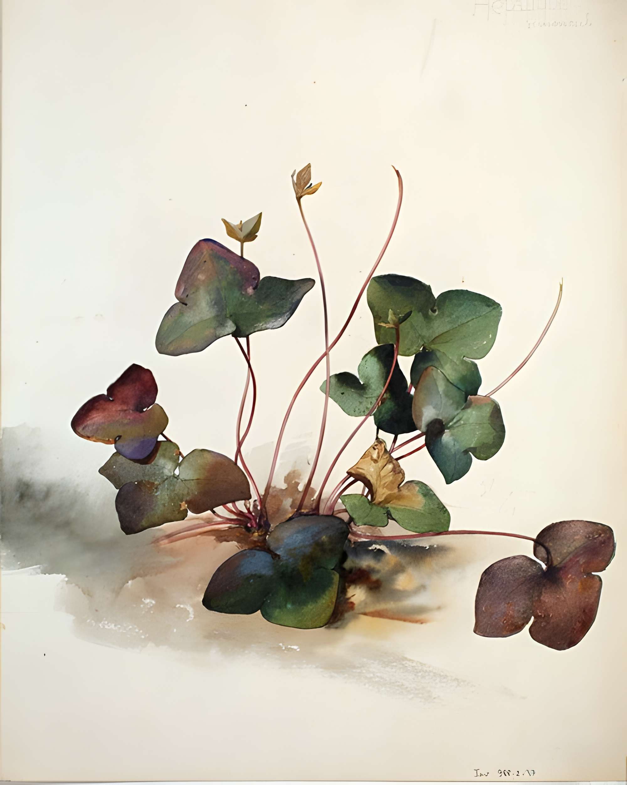 Musée de l'École de Nancy