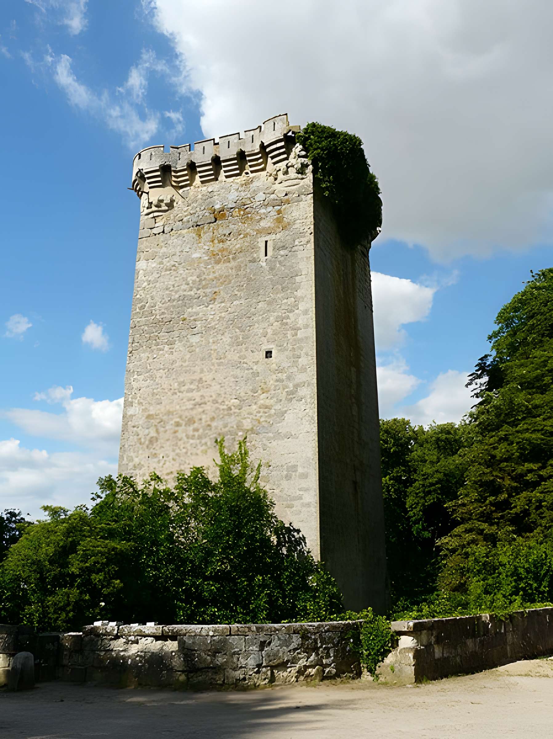 Château de Saint-Loup-sur-Thouet
