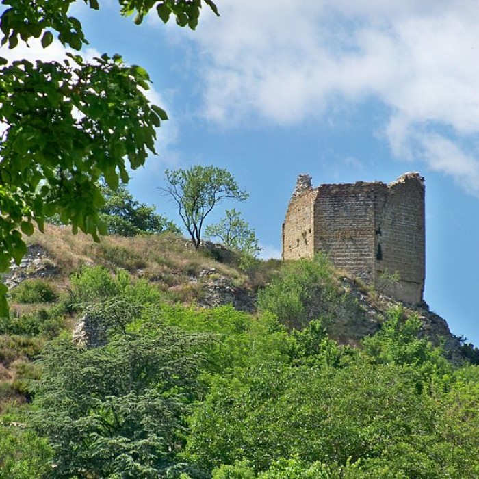 Photo de Château de Saint-Maime