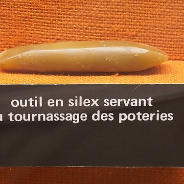 Musée de la Cour dOr à Metz