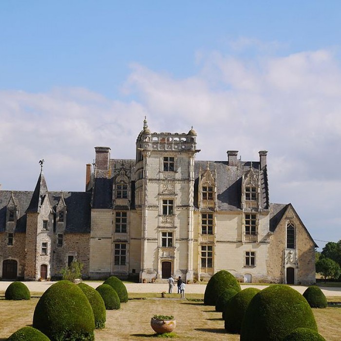Photo de Château de Saint-Ouen à Chemazé