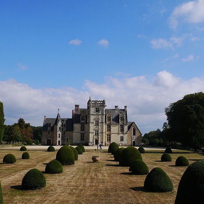 Photo de Château de Saint-Ouen à Chemazé