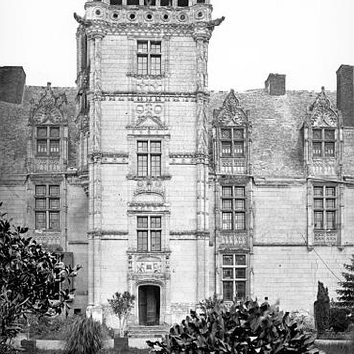 Photo de Château de Saint-Ouen à Chemazé