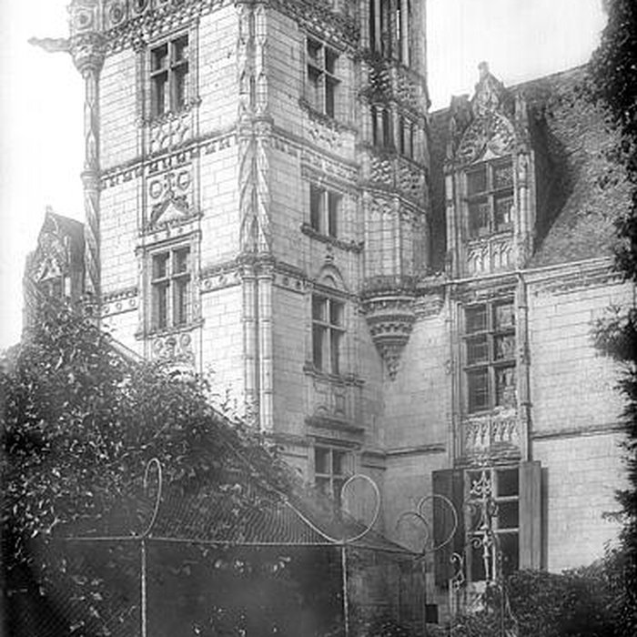 Photo de Château de Saint-Ouen à Chemazé